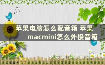 苹果电脑怎么配音箱 苹果macmini怎么外接音箱